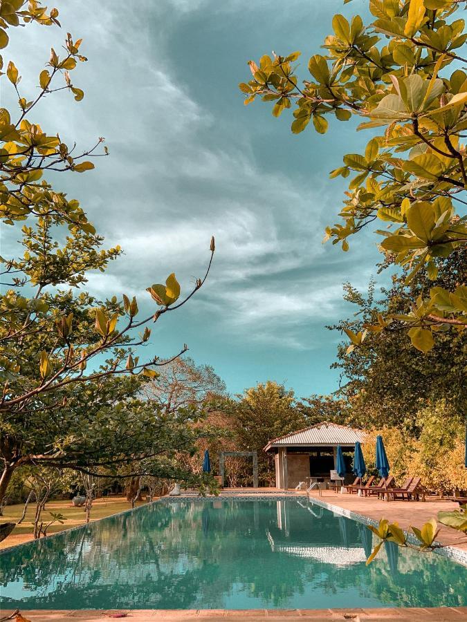 Amaara Forest Hotel Sigiriya Exterior foto
